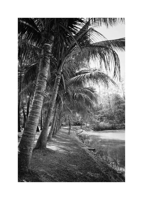 Verticaal palm landschap foto