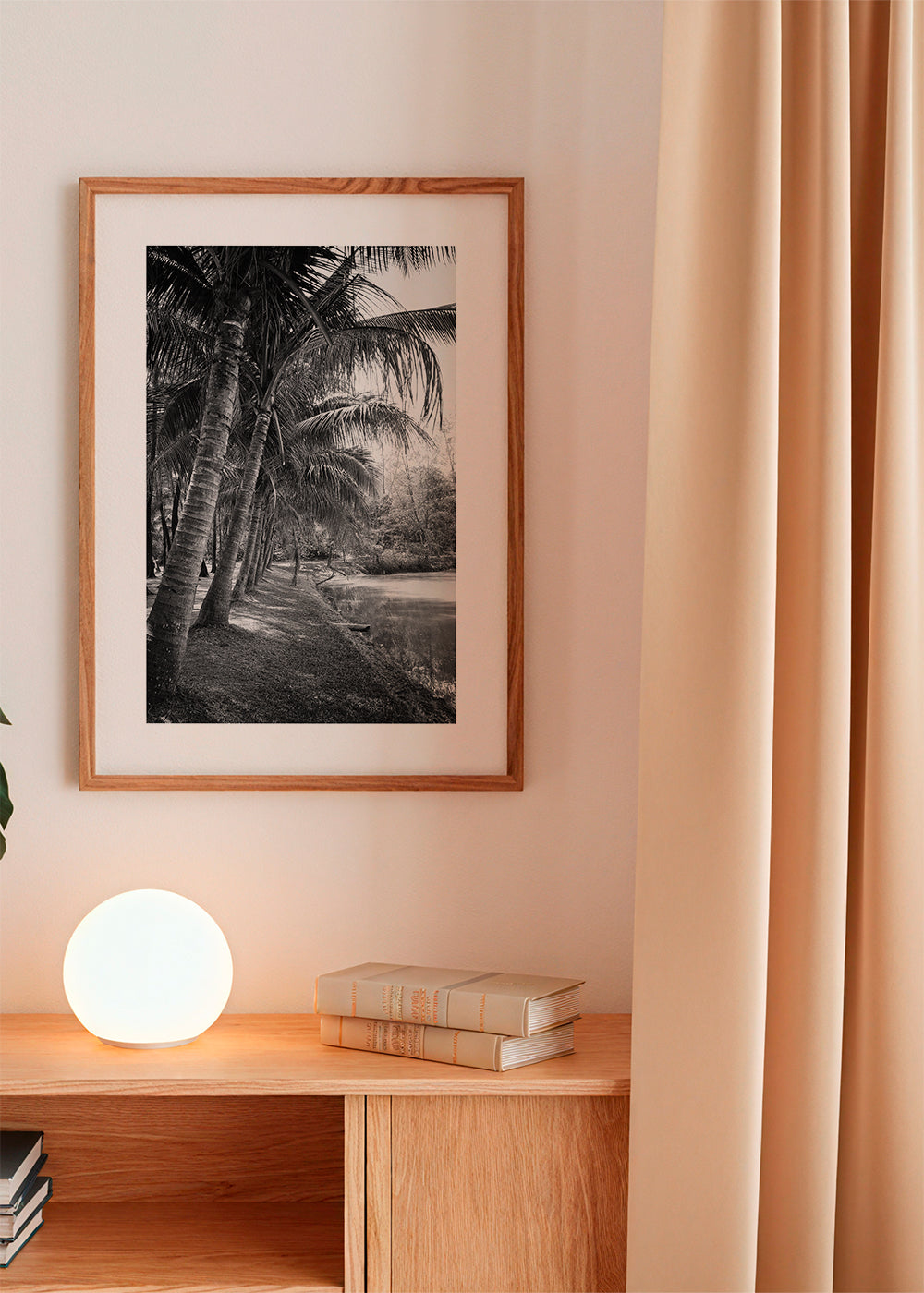 Coastal palm trees