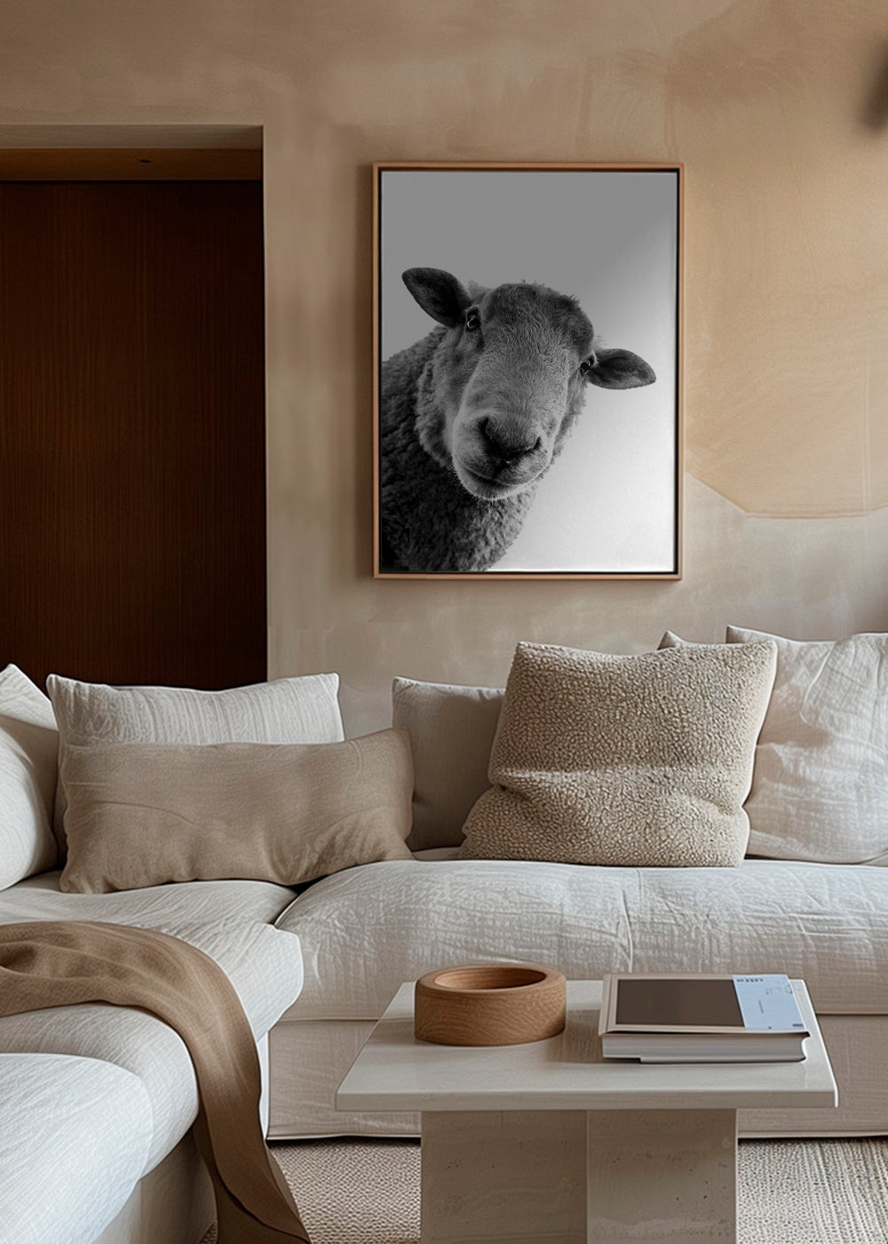 Curious sheep