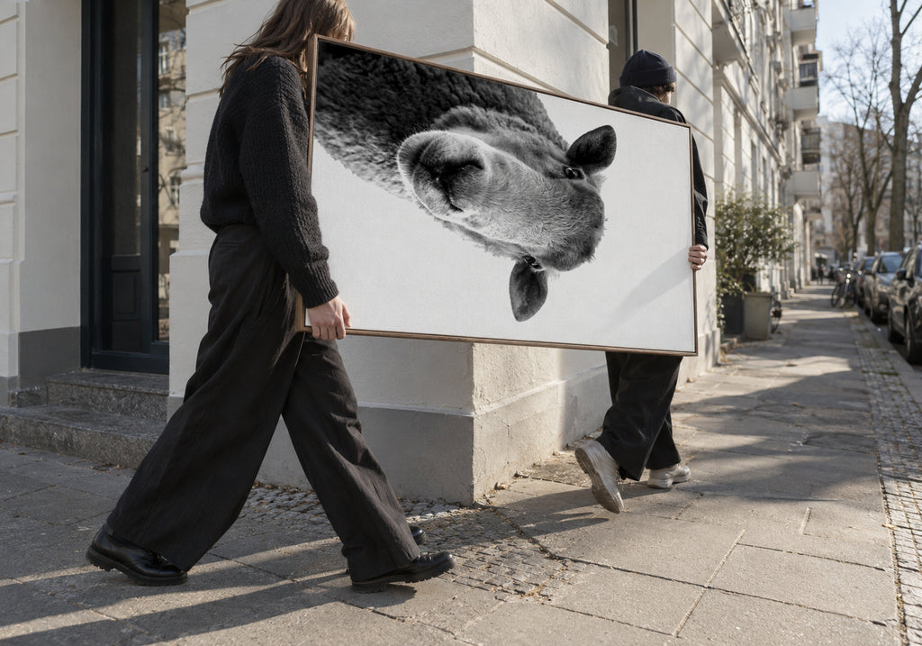 Curious sheep - Framed canvas in an interior