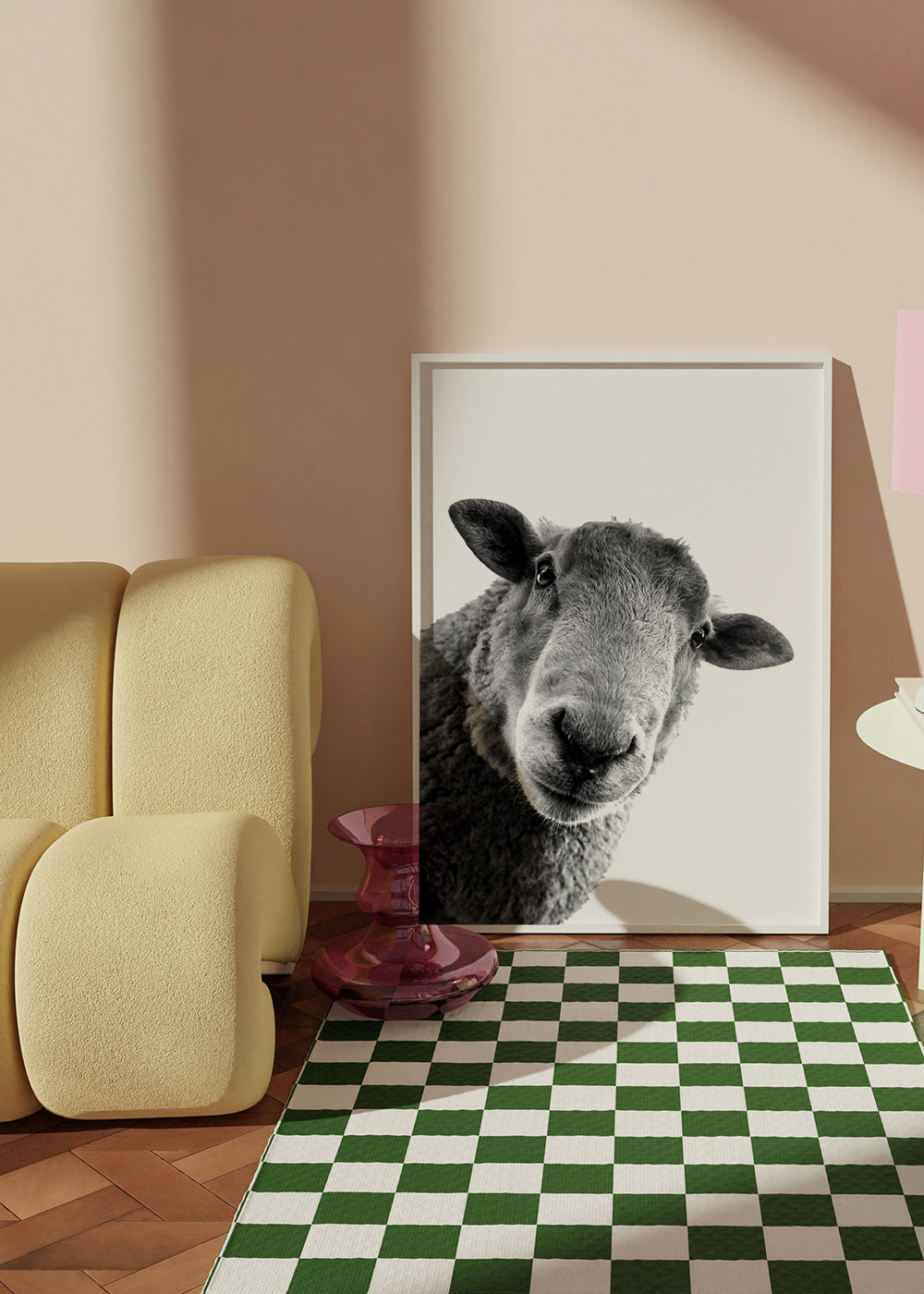 Curious sheep