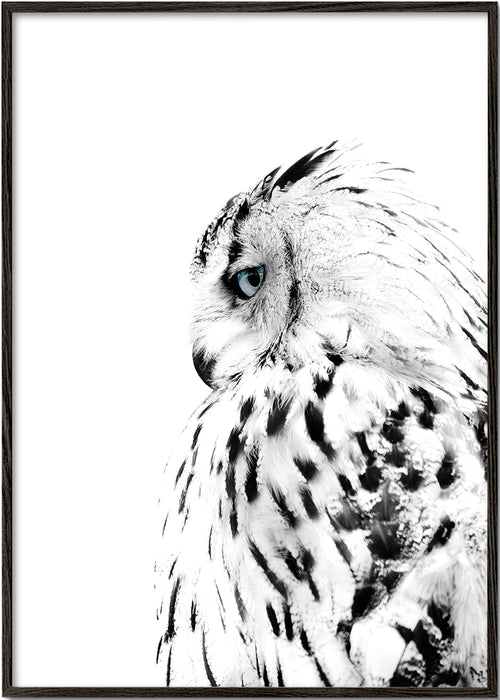 Print witte uil in profiel