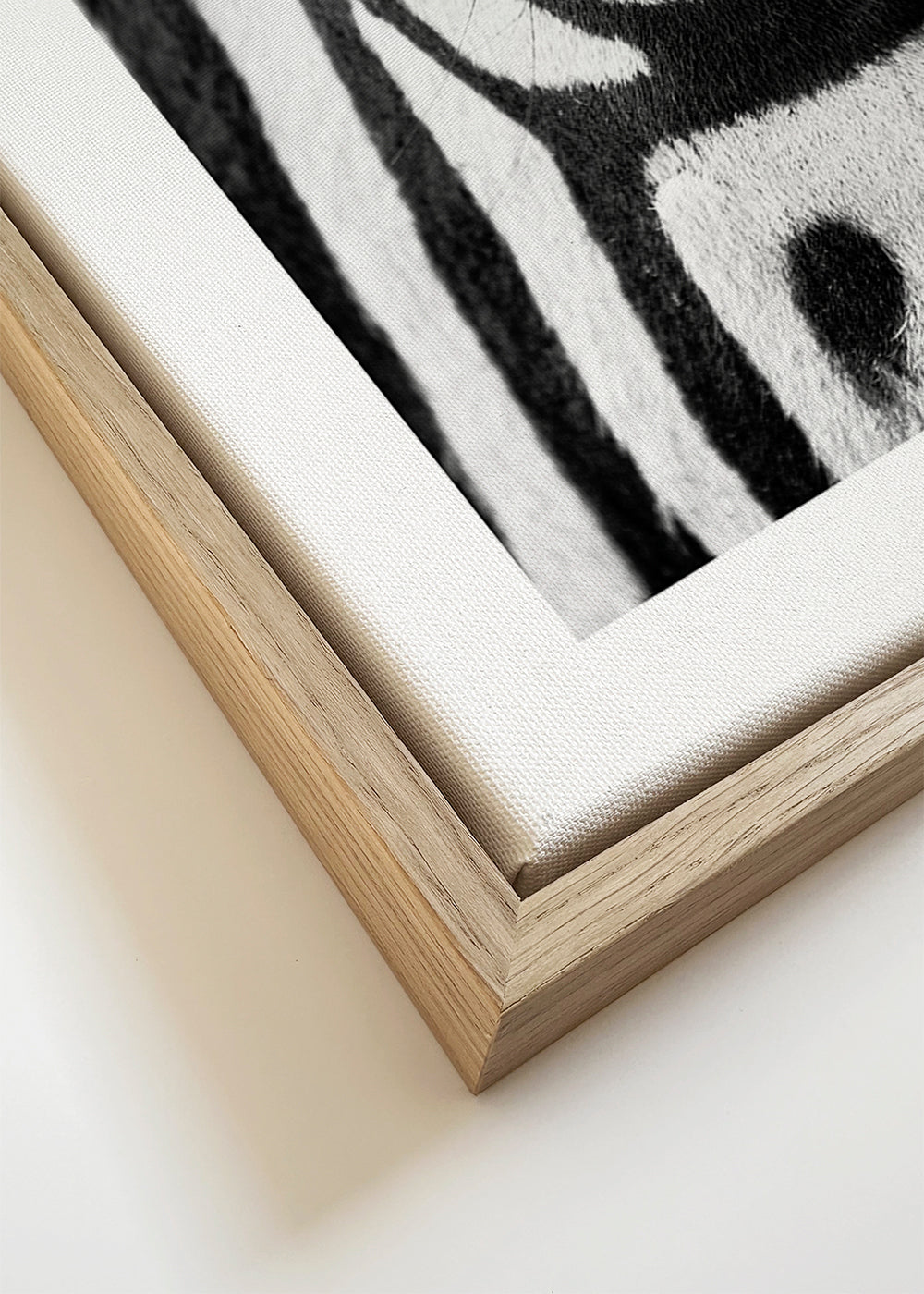 Zebra focus