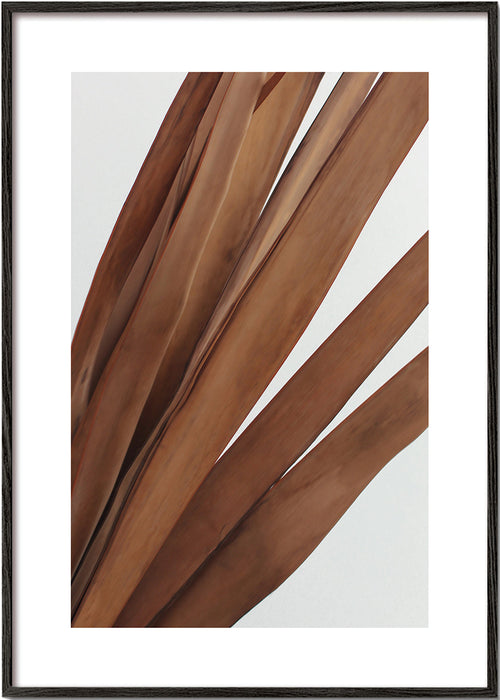 Botanische poster droge bladeren verticaal