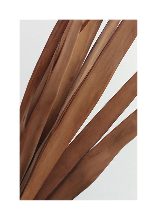 Botanische poster droge bladeren verticaal