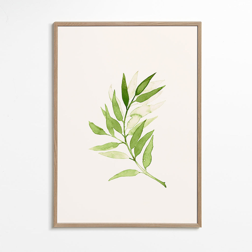 Olive Green Branch