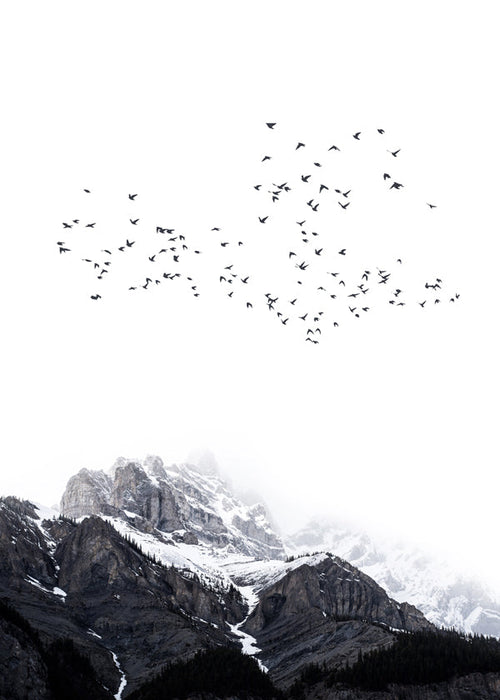 Landschapsposter met vogels boven besneeuwde toppen