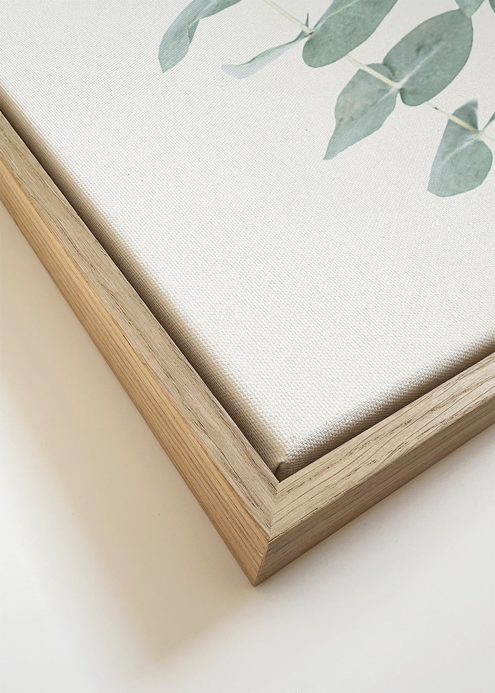 Botanische poster met hangende eucalyptus