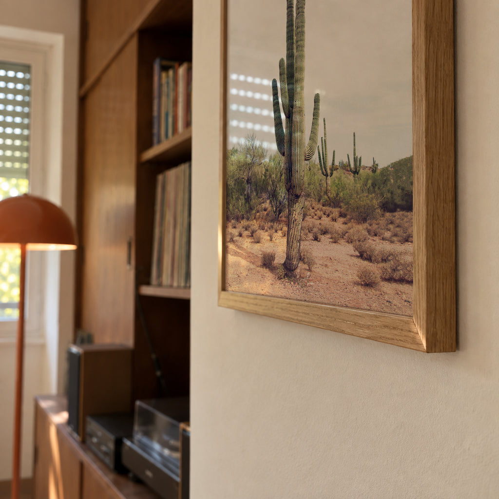 Desert cactus - Framed poster detail