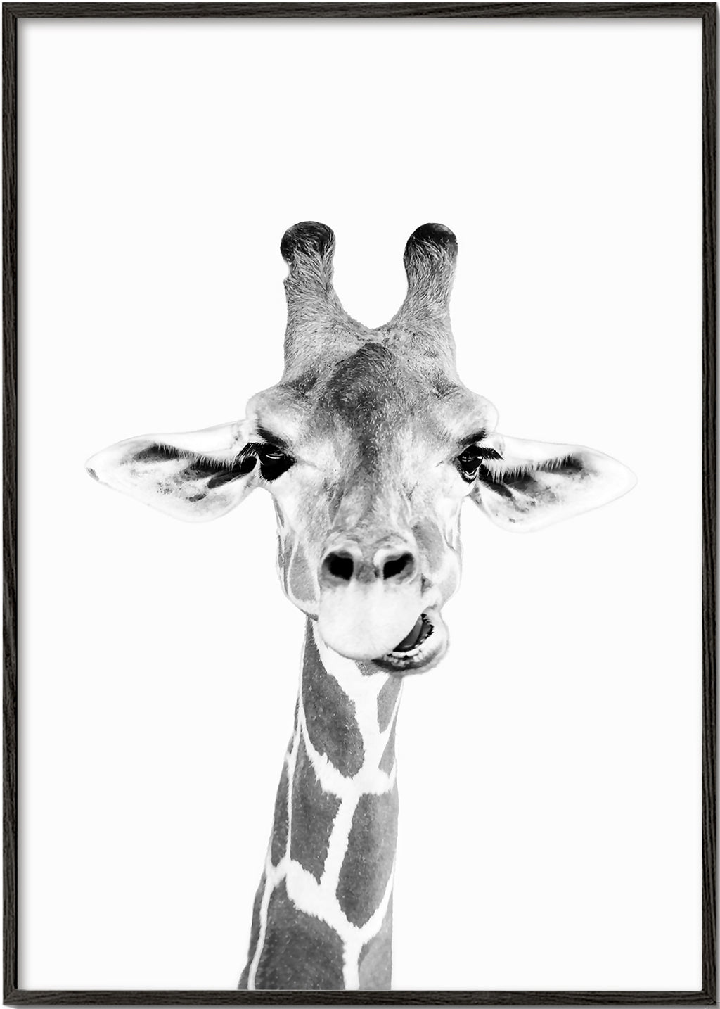 Giraffe zwart-wit poster