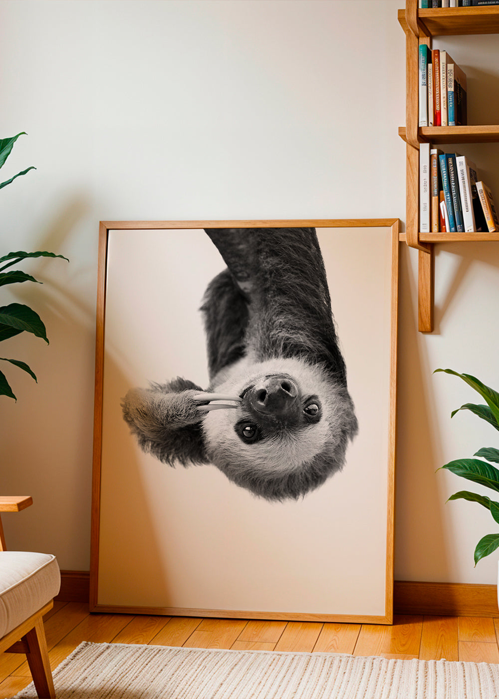 Luiaardportret in zwart-wit