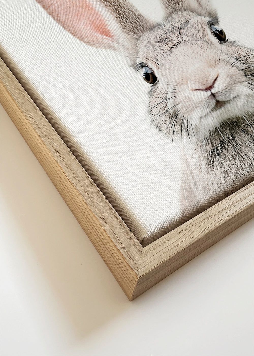 Konijnposter minimalistische close-up