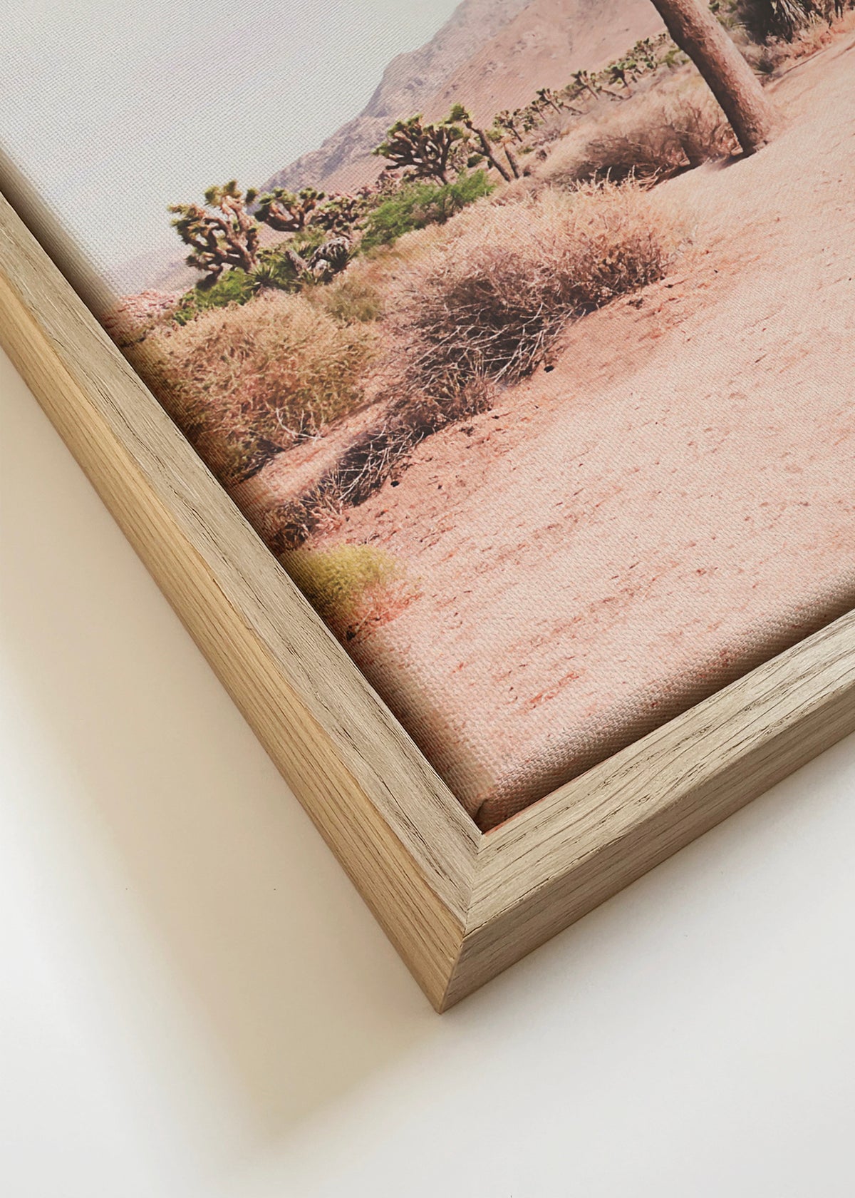 In the desert - Framed canvas detail