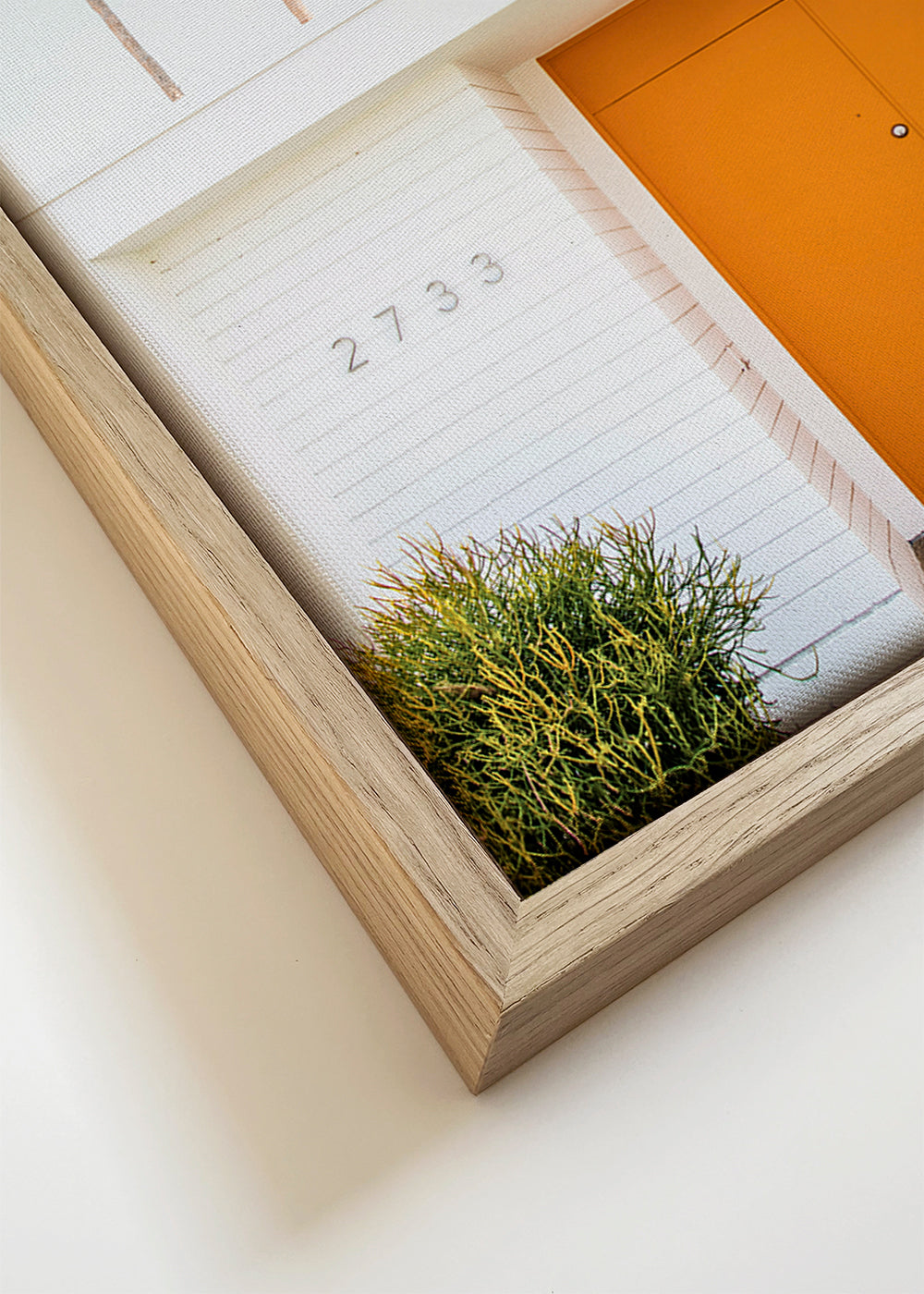 Minimalistische foto: oranje deur met palmen