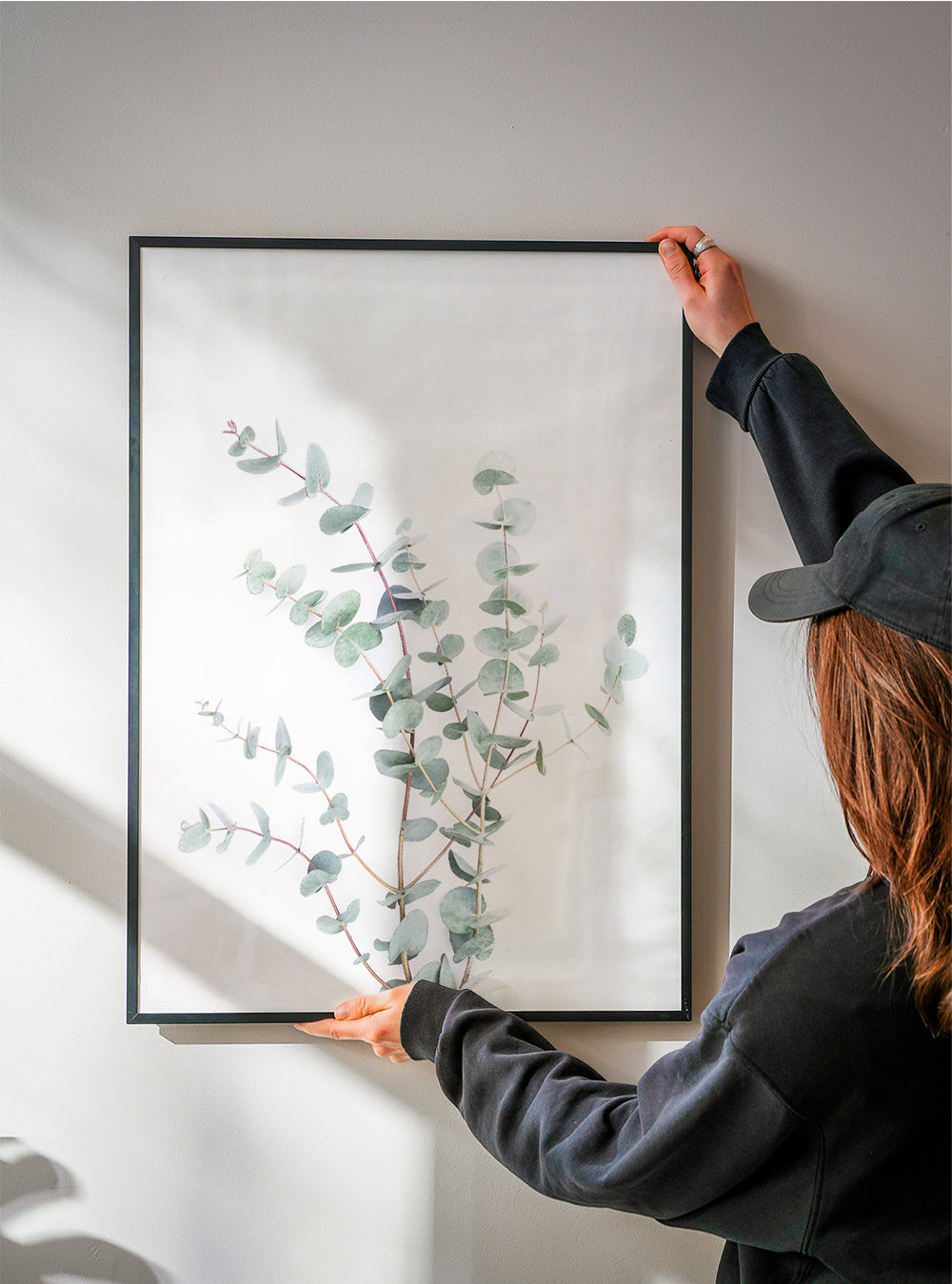 Botanische poster: eucalyptus tak op witte achtergrond