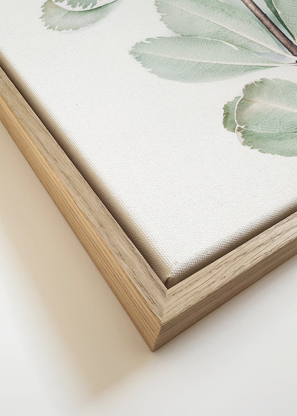 Botanische poster met geïsoleerde tak