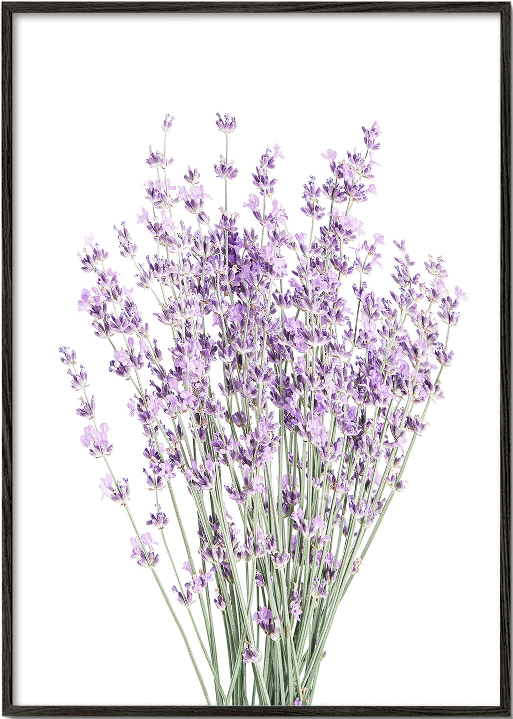 Botanische print: lavendelboeket