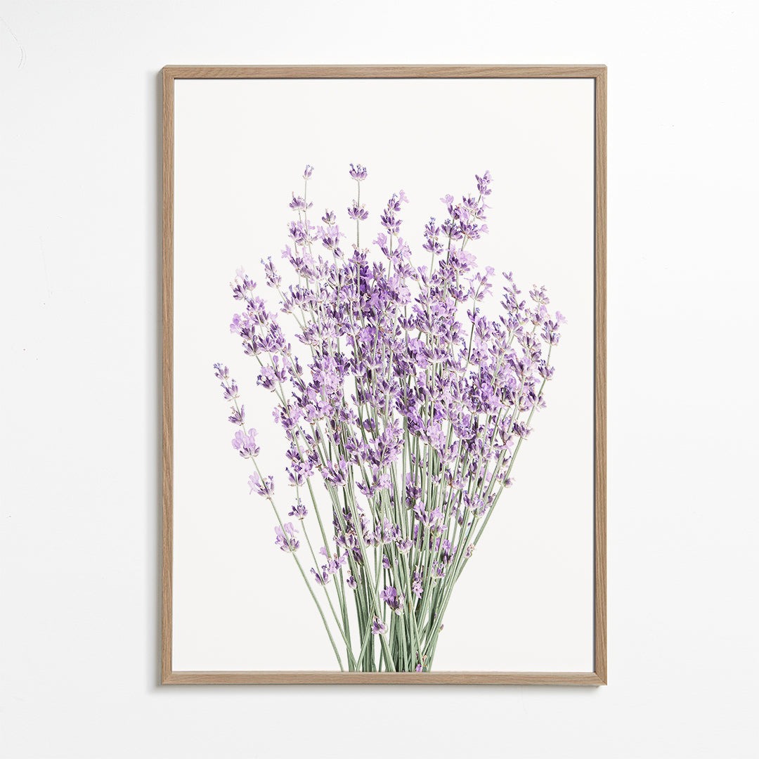 Botanische print: lavendelboeket