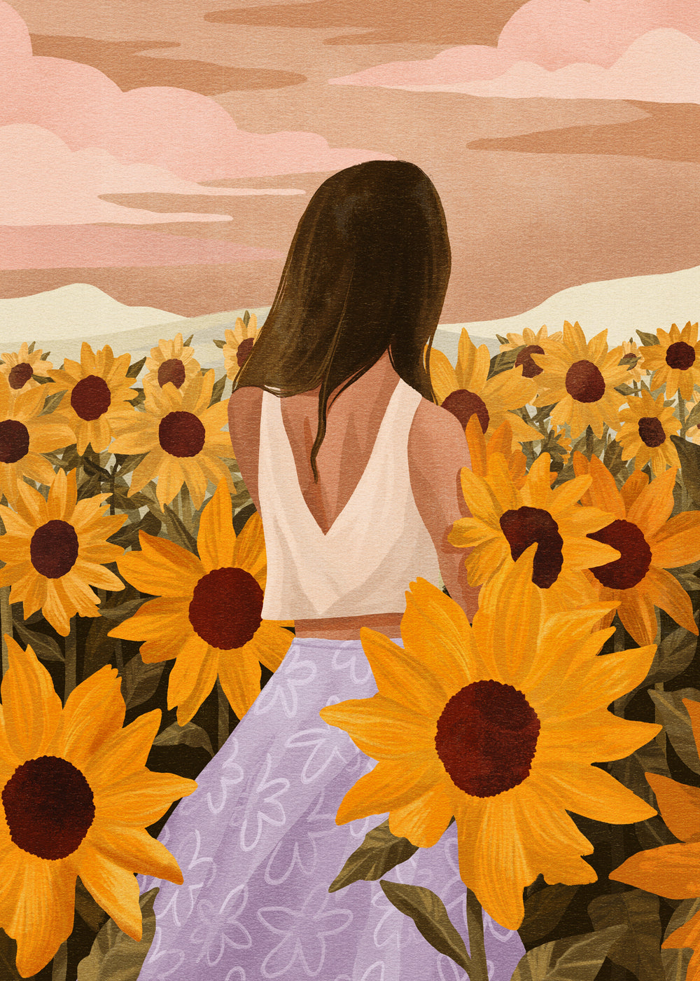 Sunflower Evenings