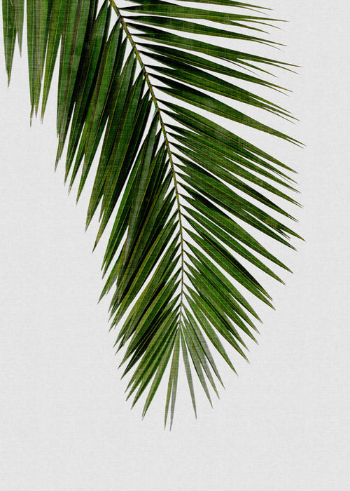 Botanische print: verticaal palmblad