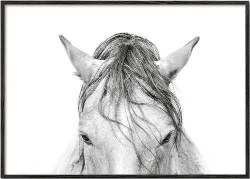 Artwork paard close-up