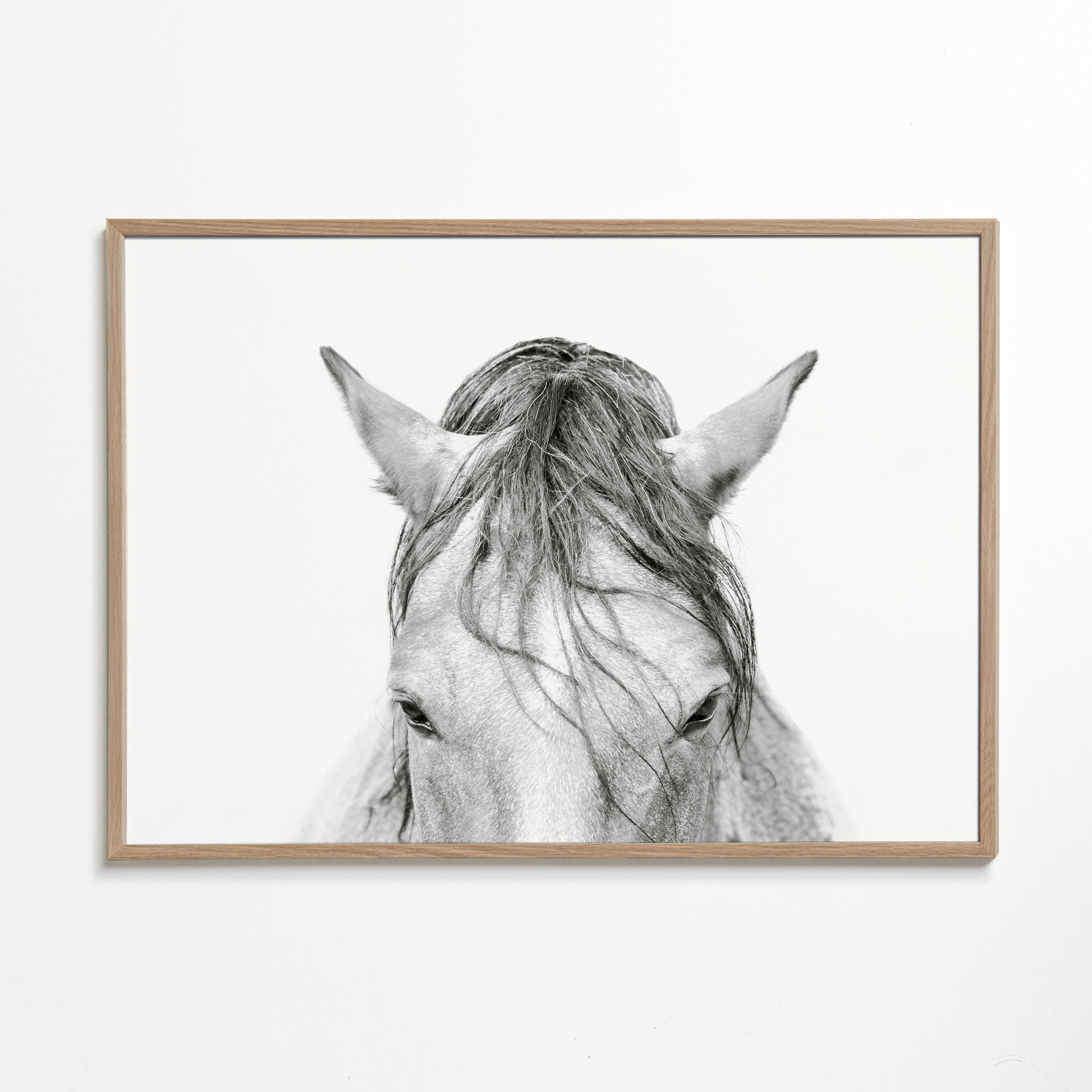 Horses Head 2