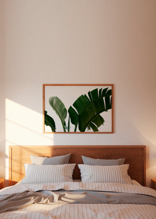Botanische poster palmbladeren