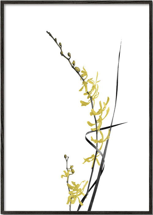 Botanische poster: gele orchidee minimal