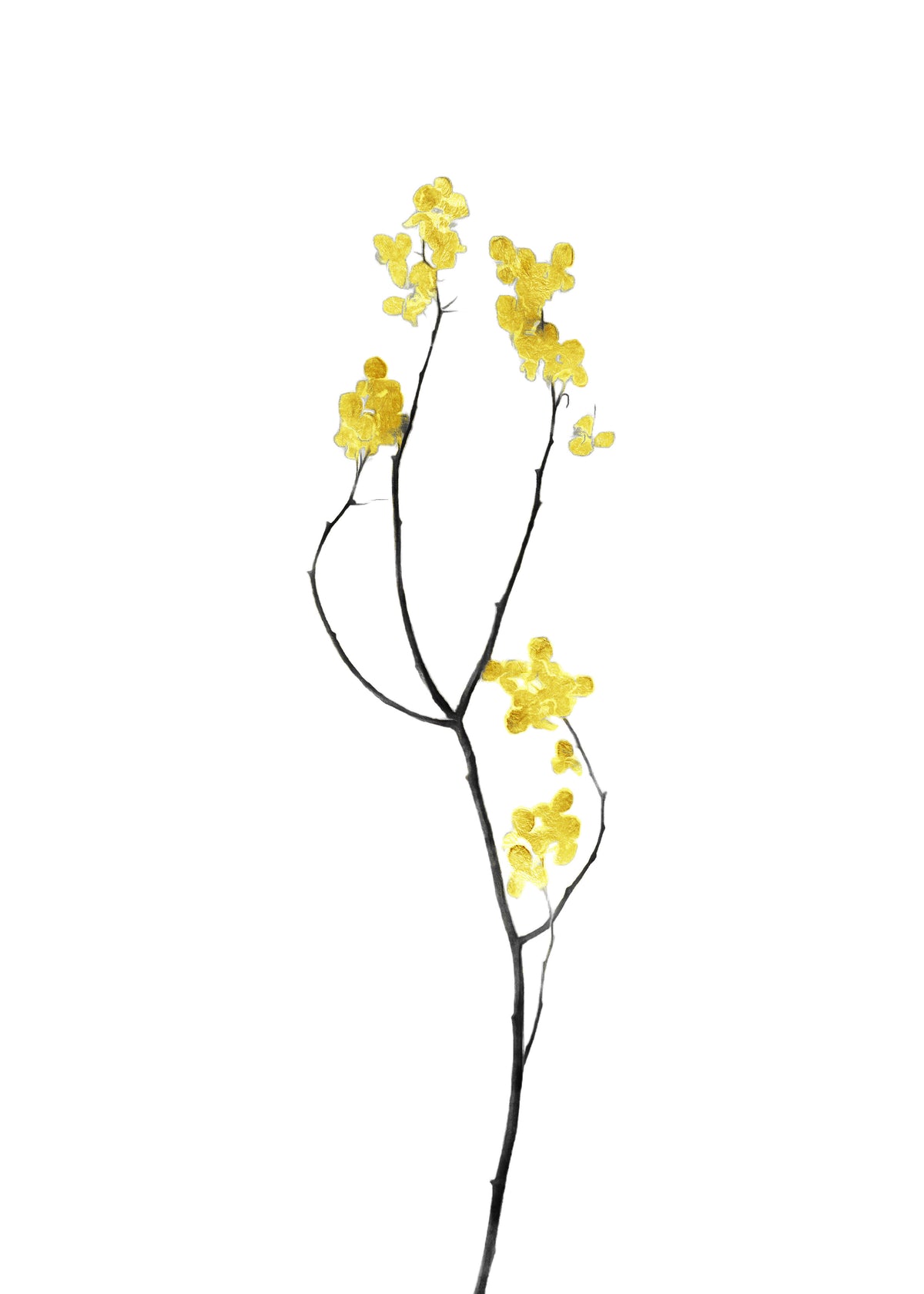 Flower Minimal Black and Gold 09 - Unframed art print