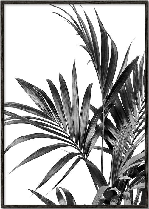 Botanische poster met palmblaaderen zwart-wit
