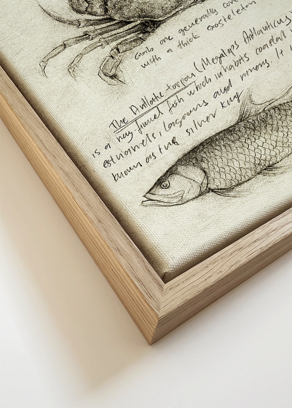 Artwork: schets van zeedieren en zeemeermin