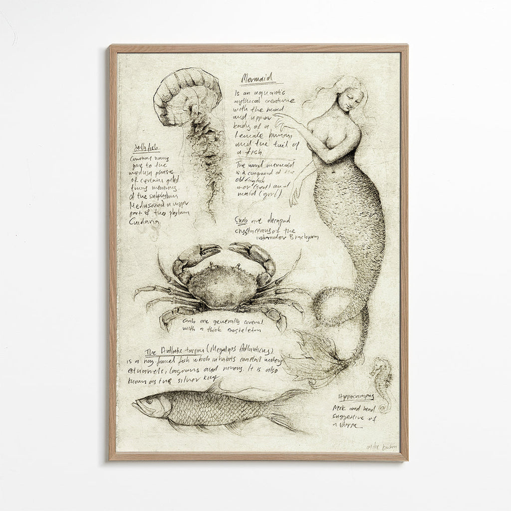 Sea Animals