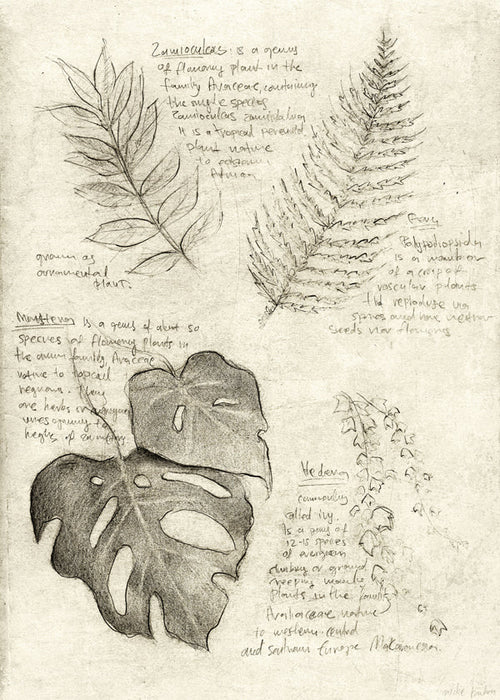 Botanische poster met bladerenstudie