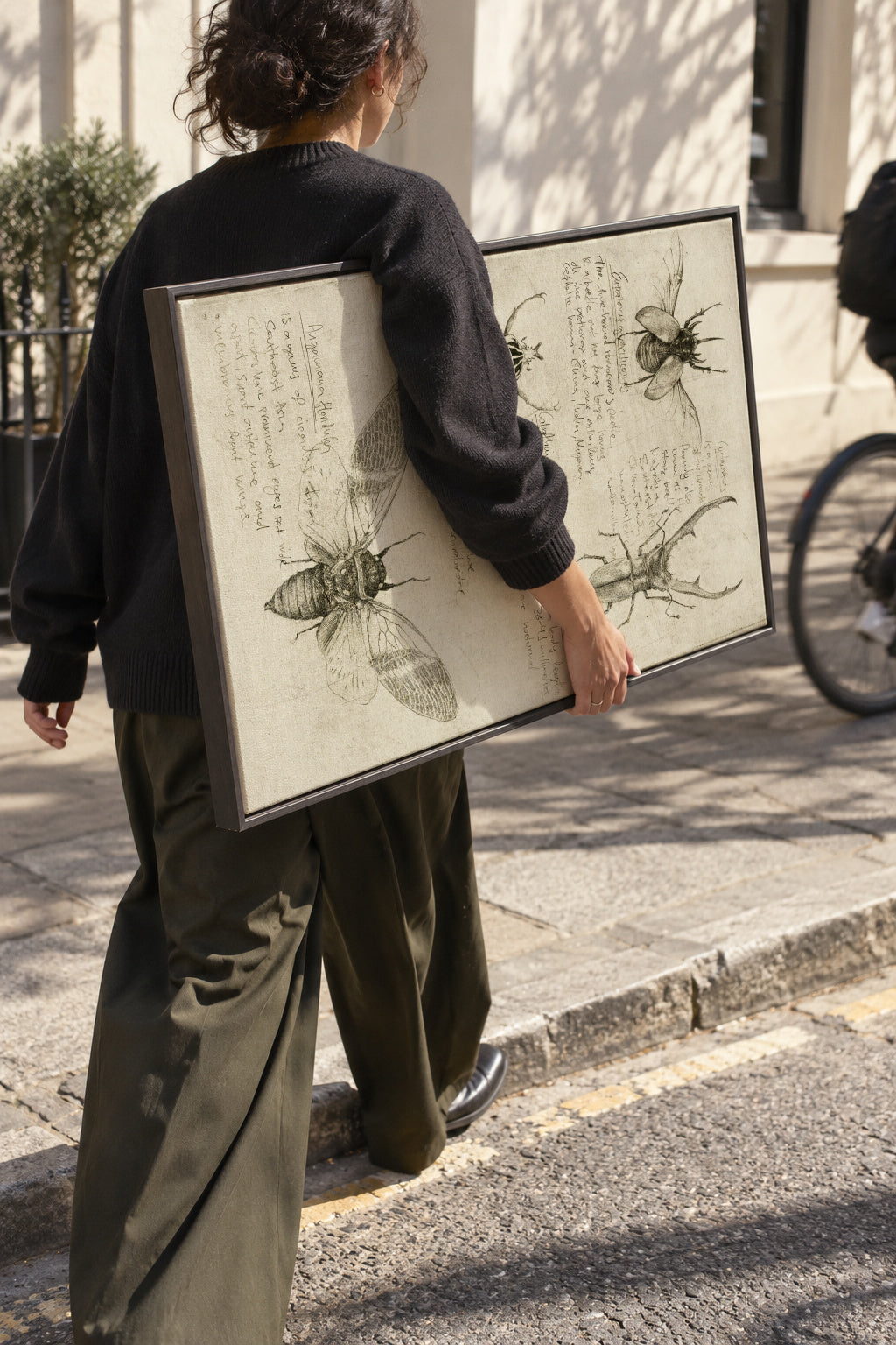 Insects - Framed canvas in an interior