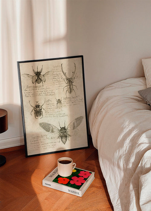 Wetenschappelijke insectenillustratie op verouderd papier