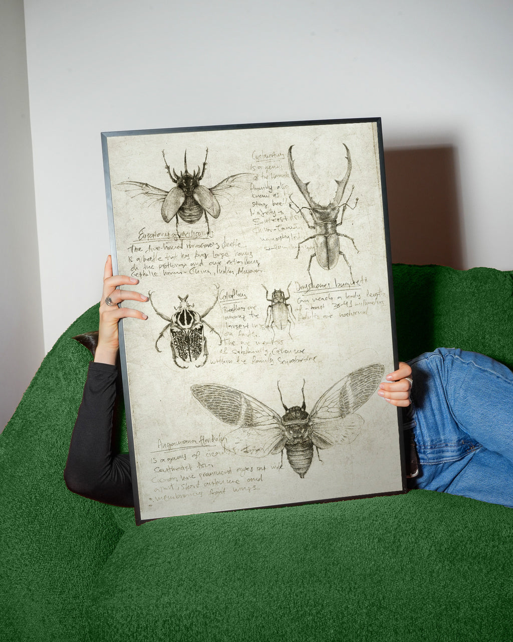 Insects - Framed poster detail