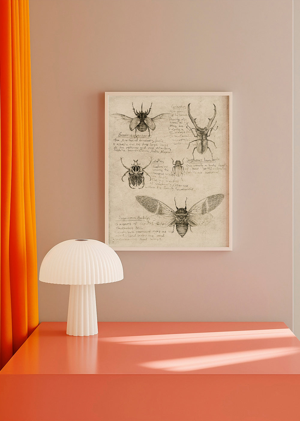 Insects