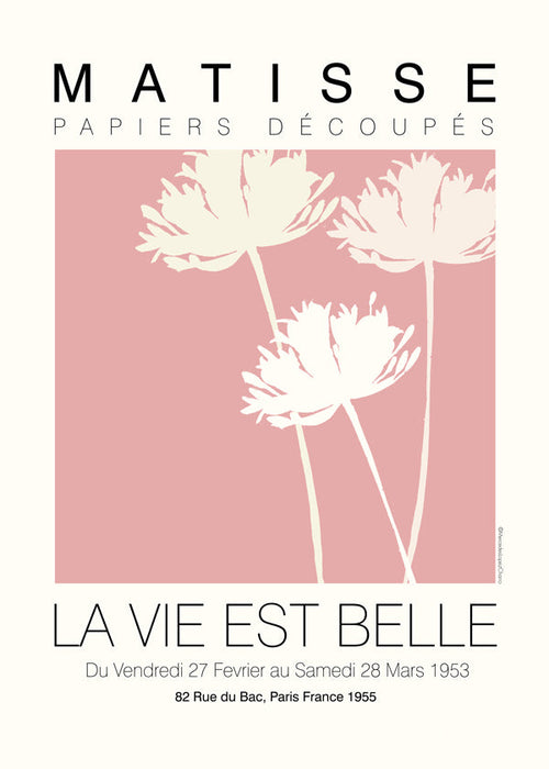 Botanische poster Matisse roze knipsels