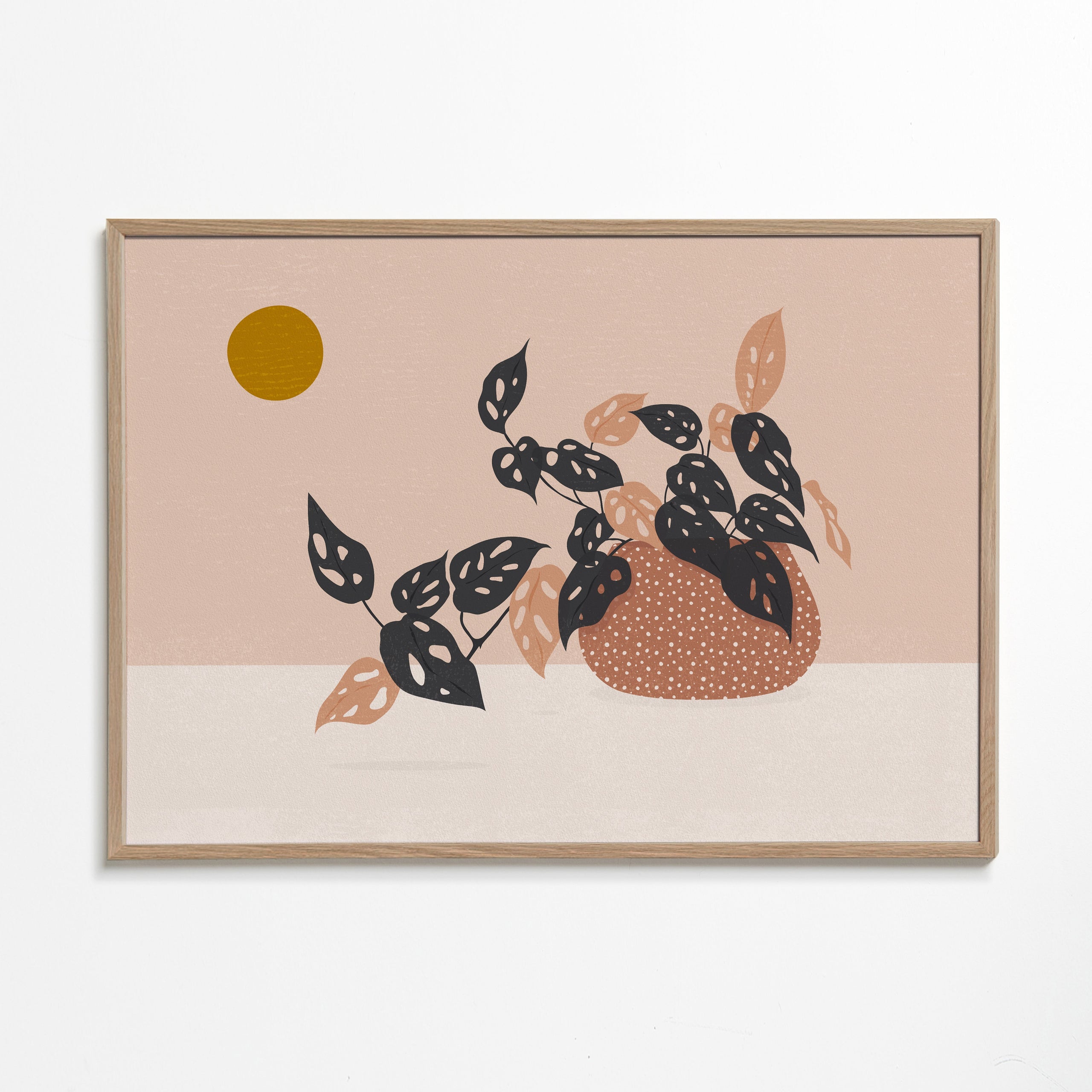 Monkey Mask Plant