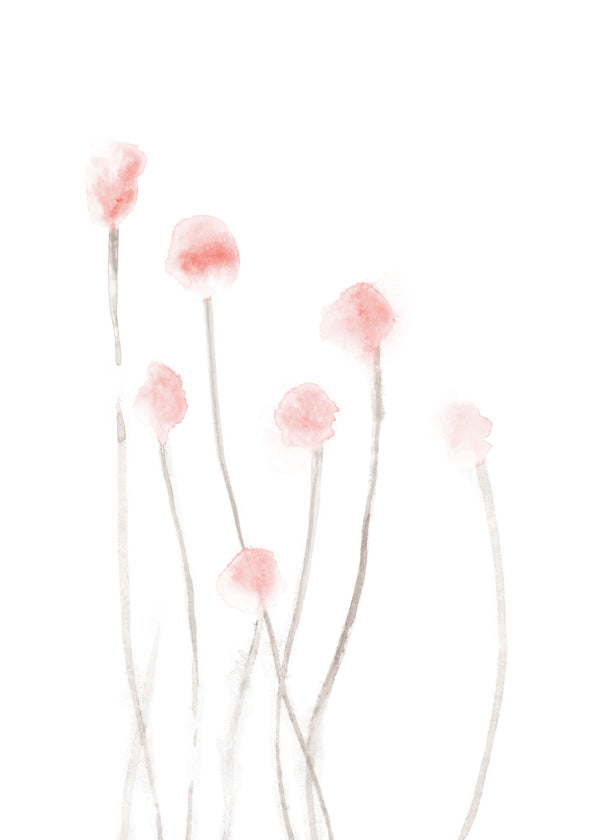Botanisch poster met kwetsbare roze bloemen