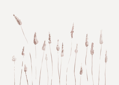 Botanische poster met tere wilde aren