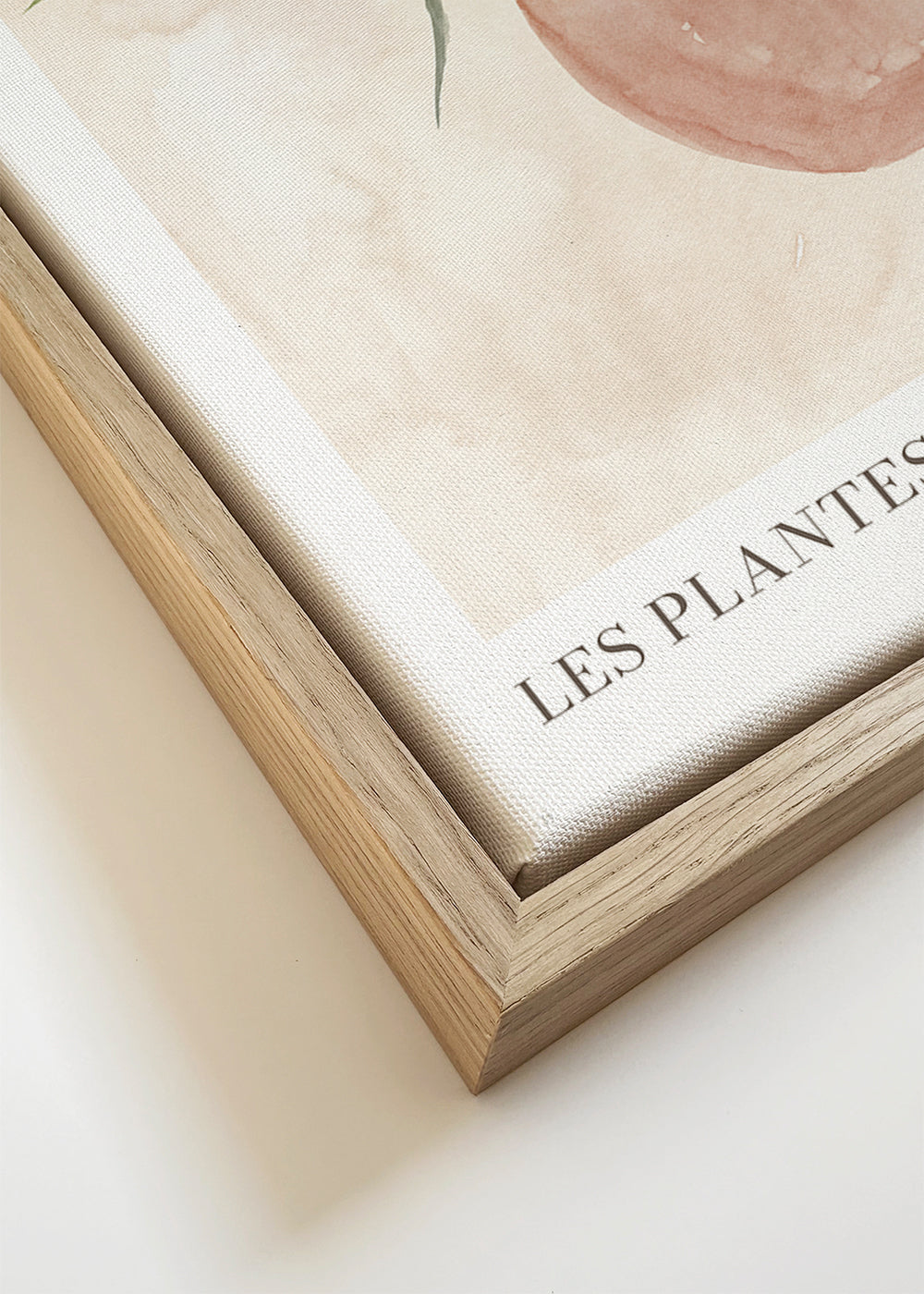 Les plantes Nº1