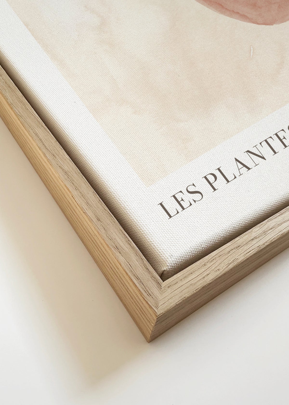 Les plantes Nº1 - Framed canvas detail