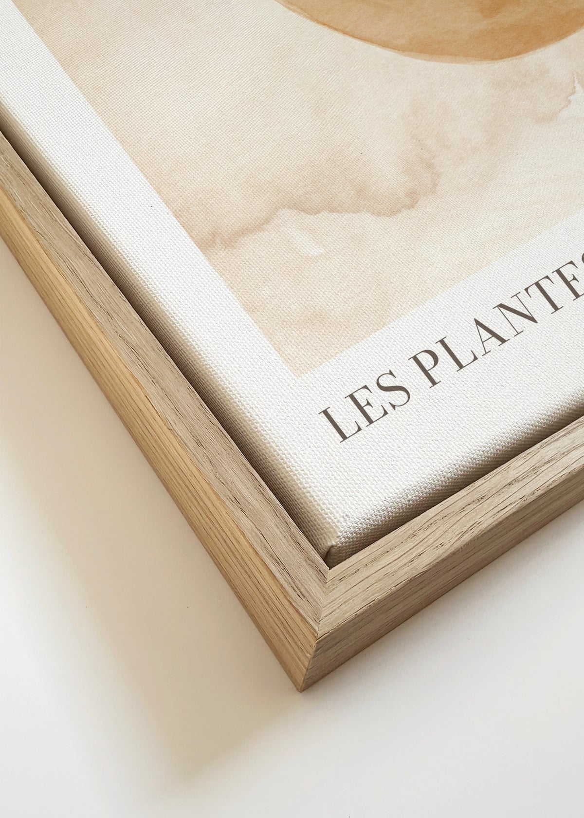 Les plantes Nº2 - Framed canvas detail