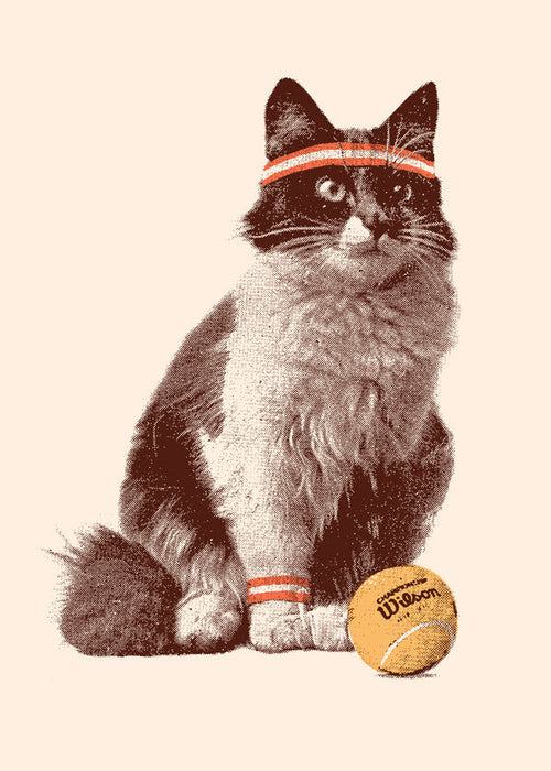 Kat met tennisbal kunst