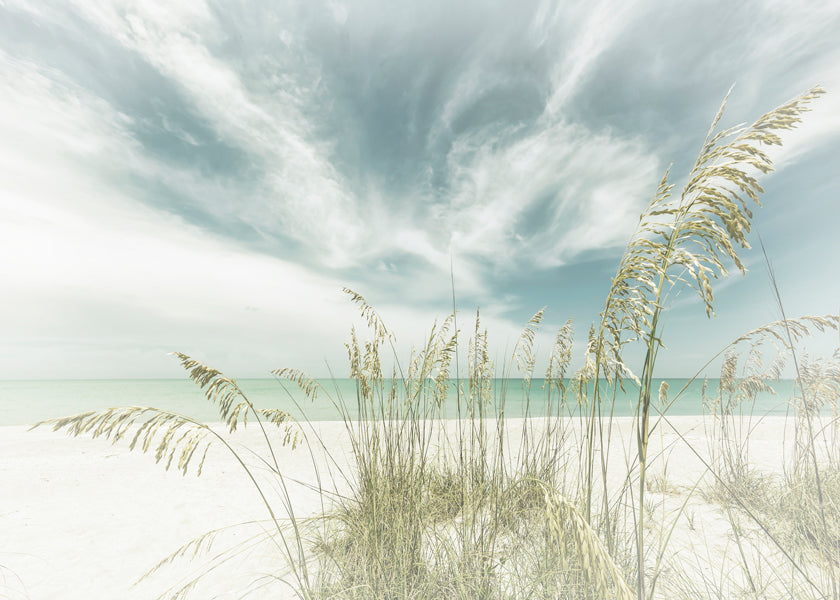 Landschap kunst: rustige strand met duingras