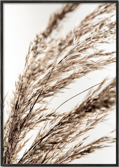 Botanische print met droge halmen horizontaal
