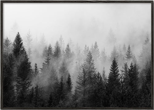 Zwart-wit kunst: mistig bos panoramisch