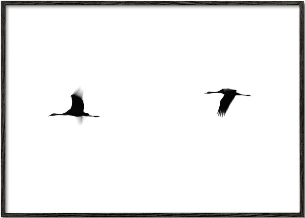 Kunstwerk kraanvogels in vlucht