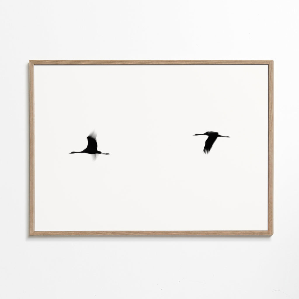 Kunstwerk kraanvogels in vlucht